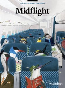 Cover image for Midflight, Audubon's strategic plan update. An illustration depicts the interior of an airplane with various species of birds in the seats, wearing human clothing.